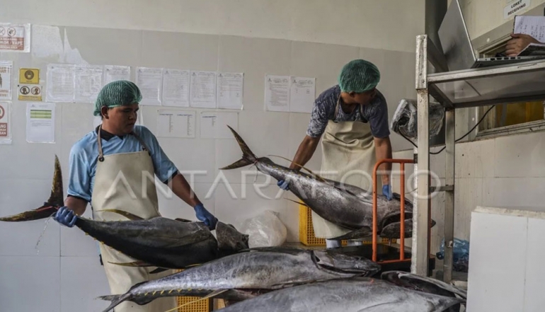 Indonesia&rsquo;s Fishery Exports Surpass USD 983 Million in First Quarter of 2026
