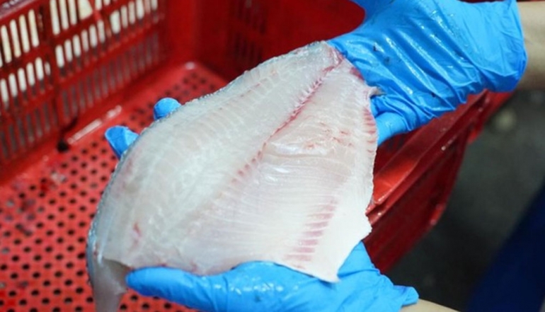 Tilapia Emerges as Indonesia&rsquo;s New Strategic Asset in European Fisheries Market