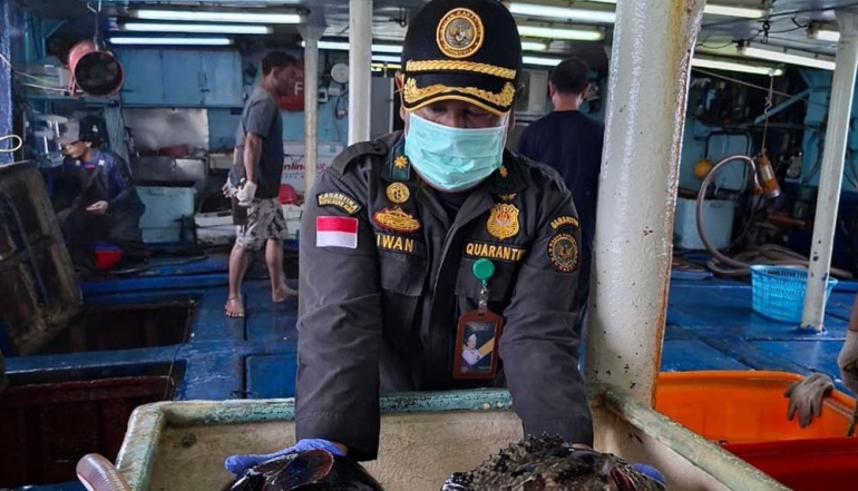 Indonesia Strengthens Tilapia Exports Amid Rising Global Demand