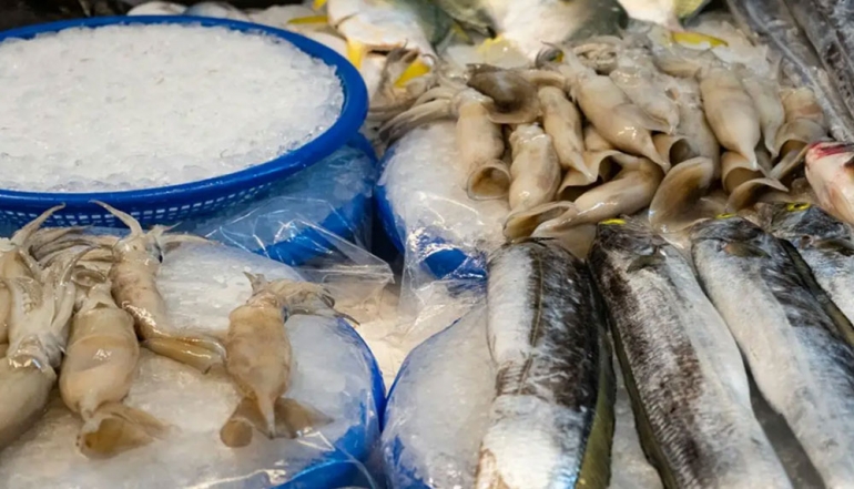 Direct Cargo Routes Enhance Maritime Export Performance in East Kalimantan
