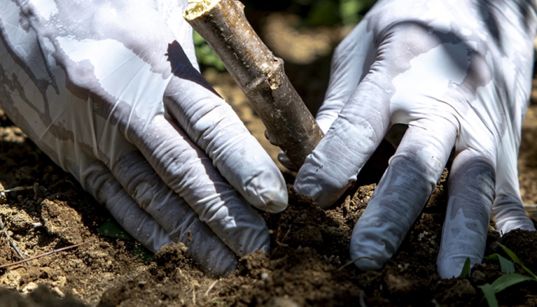 Indonesia Confirms Sufficient Raw Materials to Support E20 Fuel Plan