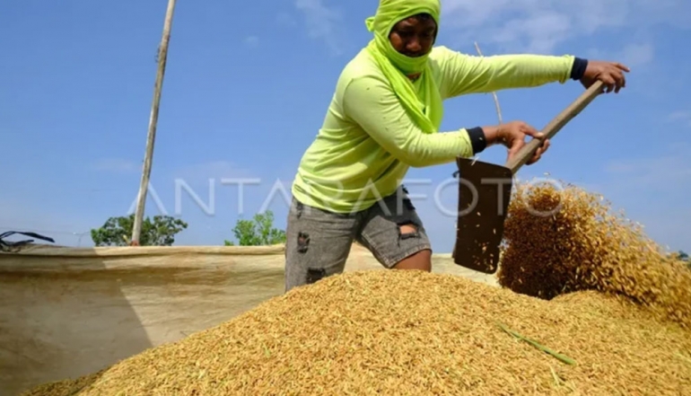 Indonesia Strengthens Path Toward Global Food Leadership as Reserves Surge