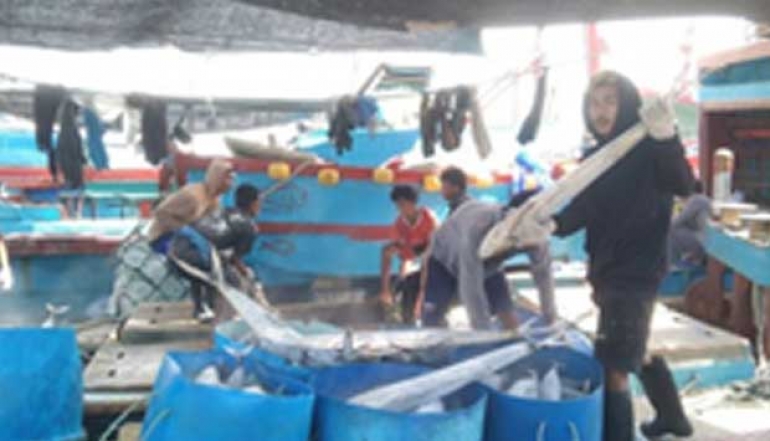 Bali's Tuna Thrives In The Global Market, With US As The Largest Market