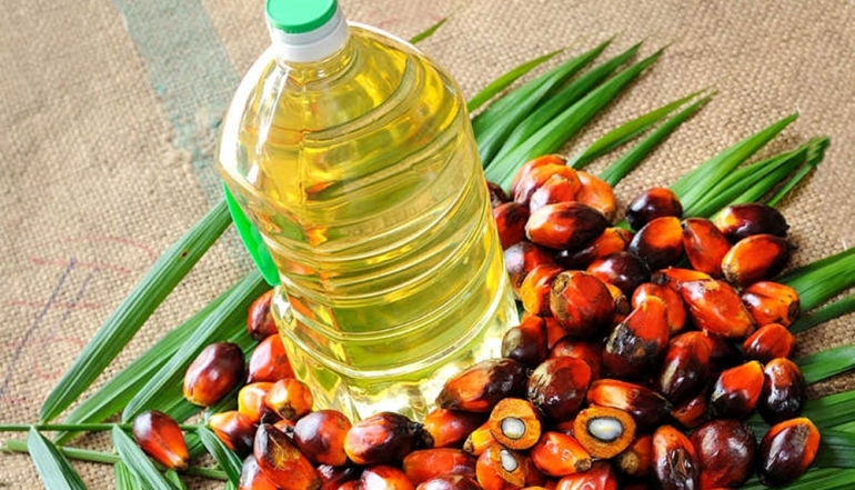 Indonesia&rsquo;s Palm Oil Exports Rise by 32.4%