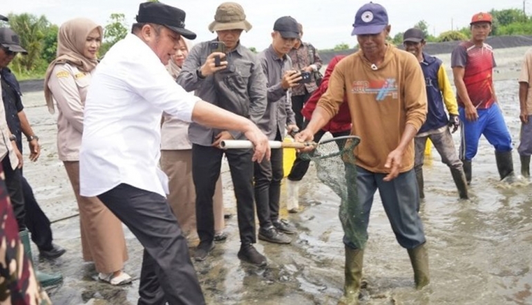 Sumatra&rsquo;s Vaname Shrimp Supply Chain Strengthened as Region Declared WSSV-Free for Export
