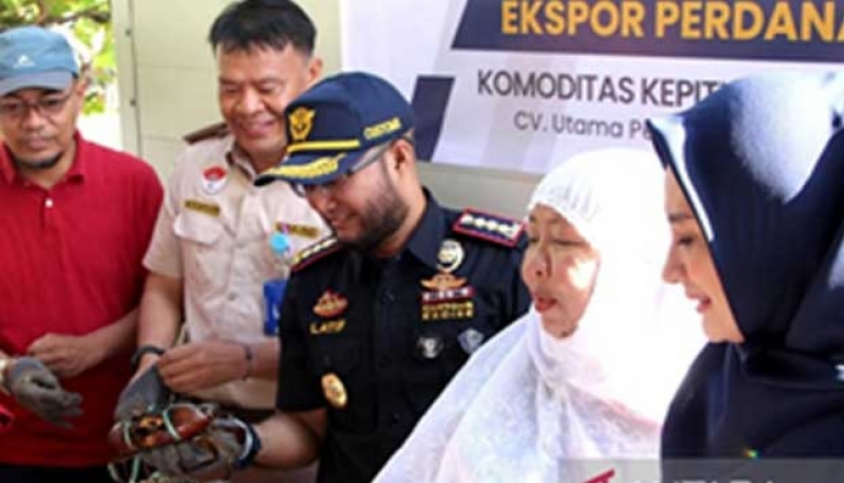 Gorontalo SMEs Export Mangrove Crabs to Singapore