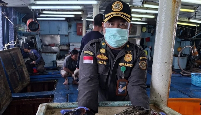 Natuna Exports Live Fish Worth IDR 1.2 Billion to Hong Kong