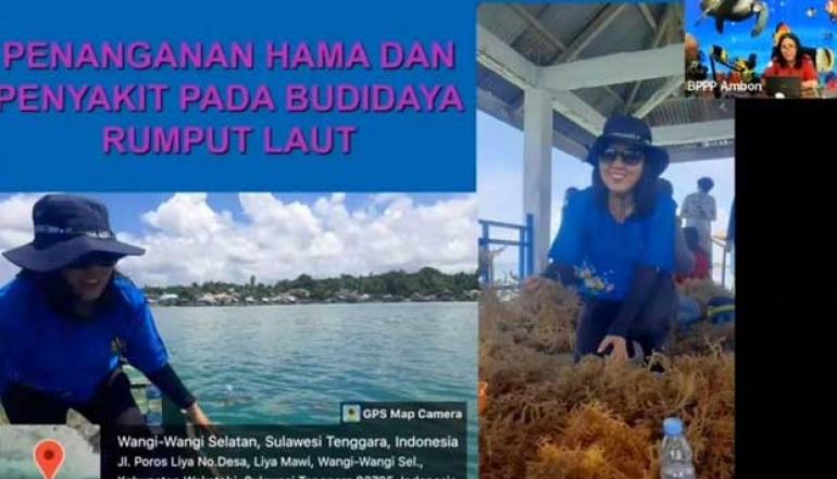 Ministry of Maritime Affairs and Fisheries Trains Tilapia and Seaweed Farmers to Strengthen Export Commodities