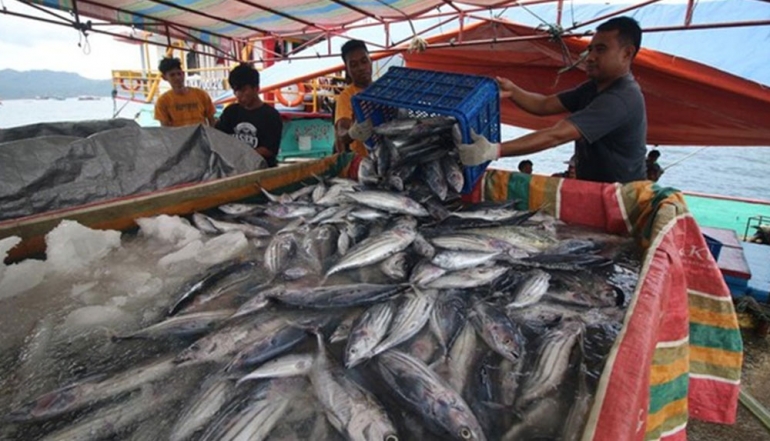 East Kalimantan&rsquo;s Fisheries Sector Achieves Self-Sufficiency and IDR 471 Billion in Exports