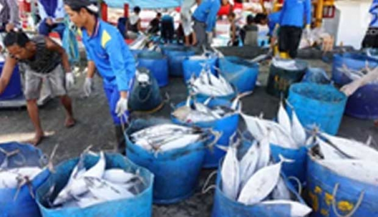 Indonesia&rsquo;s Fishery Resources Have a Potential of Over 12 Million Tons Annually