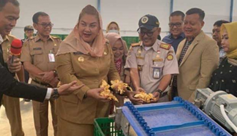 Tanjung Emas Customs and Excise Support The Export of Porang To China