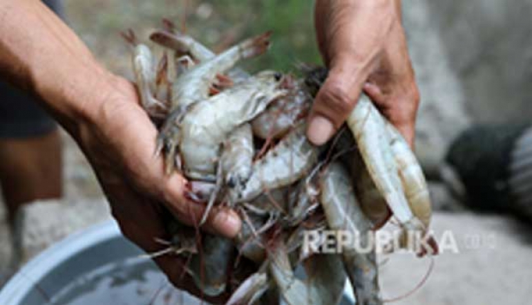 Ministry of Marine Affairs and Fisheries : Indonesia's Fishery Exports Reach USD 2.8 Billion